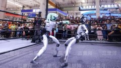 人工智能取数字平安的挑和是全球性